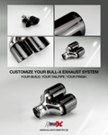 Bull-X Endrohrset Y-Style: Typ 5 CK-Style versetzt (A:1x64mm + 1x76mm)