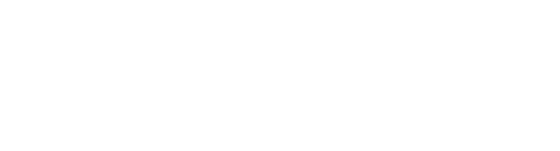 Bull-X
